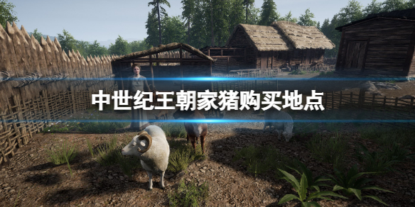 《中世纪王朝》猪在哪买？家猪购买地点一览