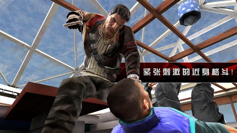 职业杀手2：影子阴谋旧版