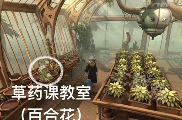 哈利波特魔法觉醒2022年4月18日彩蛋在哪里