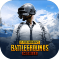 pubg(国际服)地铁逃生模式下载安装正版
