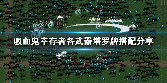 《吸血鬼幸存者》塔罗牌如何搭配？各武器塔罗牌搭配分享