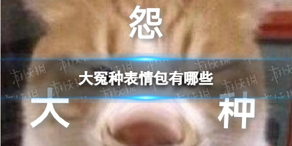 大冤种表情包大全分享