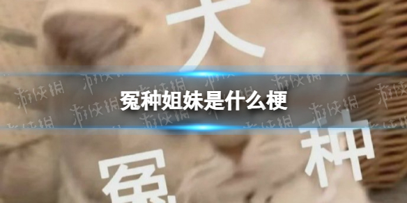 冤种姐妹意思介绍