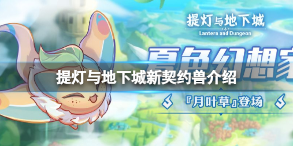提灯与地下城契约兽月叶草介绍 提灯与地下城新契约兽介绍