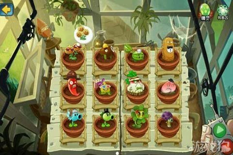 植物大战僵尸金坷垃正式最新版
