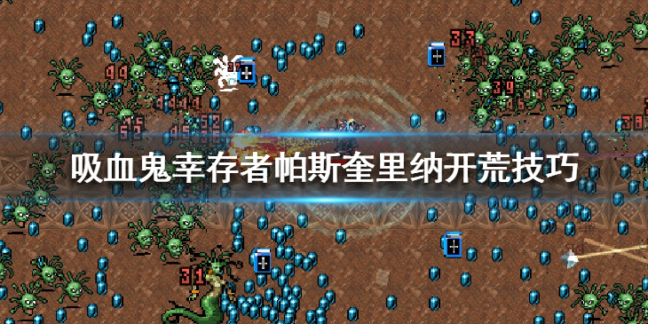 《吸血鬼幸存者》帕斯奎里纳开荒技巧 帕斯奎里纳怎么开荒？