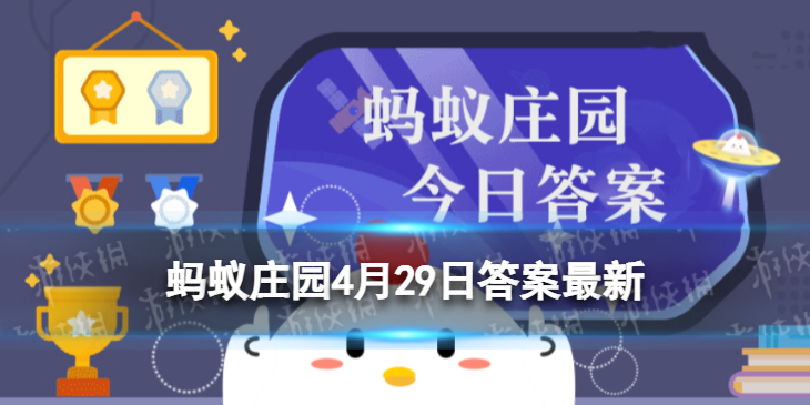 棕色的小熊猫是大熊猫的宝宝吗 蚂蚁庄园4月29日答案最新