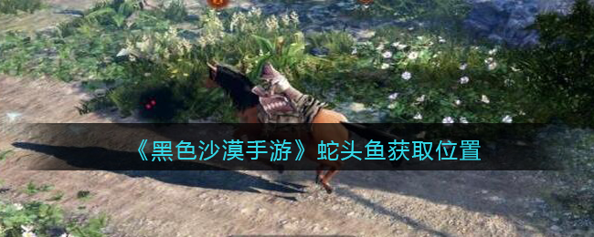 《黑色沙漠手游》蛇头鱼获取位置