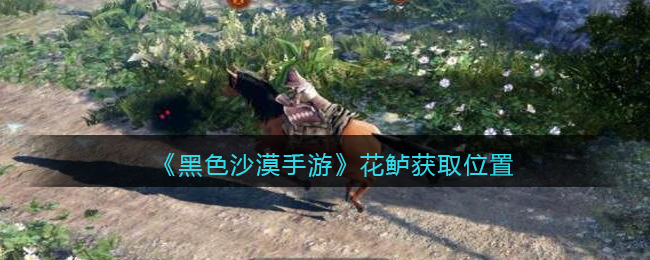 《黑色沙漠手游》花鲈获取位置