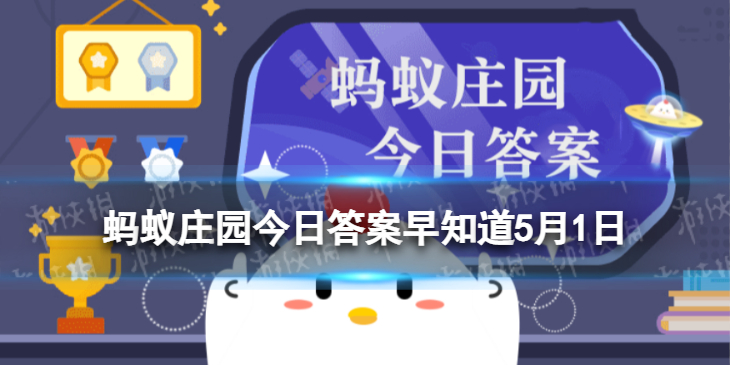 坐摩托车需要戴头盔吗 蚂蚁庄园两轮摩托车5.1