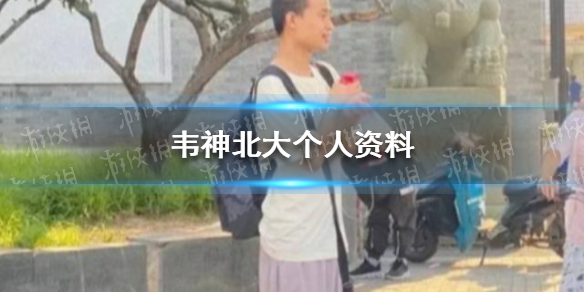 韦神北大个人资料