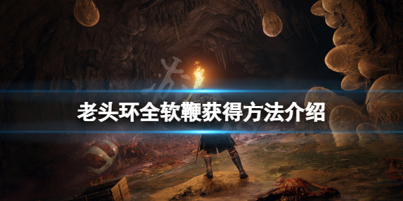 《艾尔登法环》软鞭在哪获得？全软鞭获得方法介绍