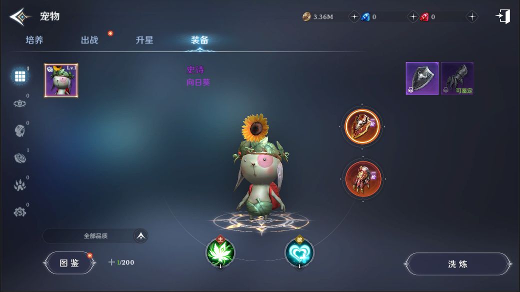 《无神之界》宠物装备洗炼解锁攻略