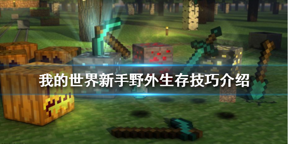 《我的世界》新手如何在野外生存？新手野外生存技巧介绍