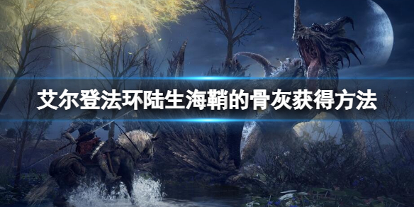 《艾尔登法环》陆生海鞘的骨灰在哪里？陆生海鞘的骨灰获得方法