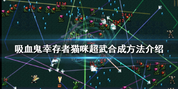 《吸血鬼幸存者》猫咪超武如何合成？猫咪超武合成方法介绍