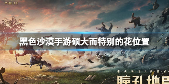黑色沙漠手游硕大而特别的花在哪 黑色沙漠手游硕大而特别的花位置