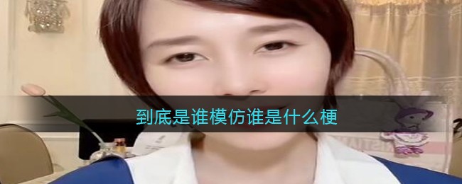 到底是谁模仿谁是什么梗