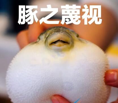 QQ截图20220512111343.jpg