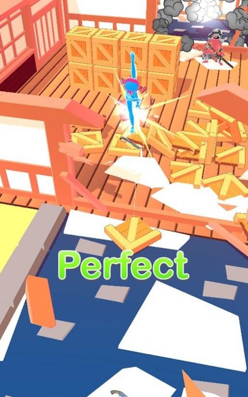 极好忍者游戏正式版（Perfect Ninja）