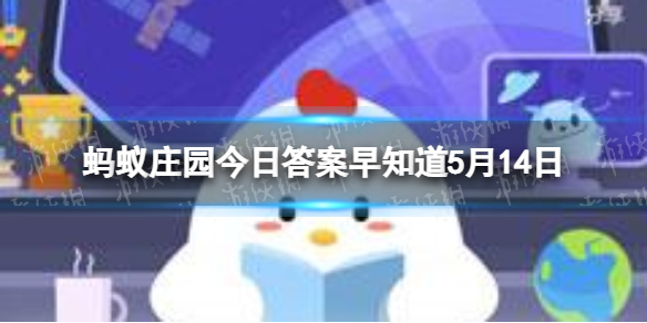 你注意过吗我国的盲道表面通常是什么形状的凸起 蚂蚁庄园今日答案早知道5月14日