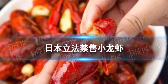 日本立法禁售小龙虾 网友：我夏天常吃