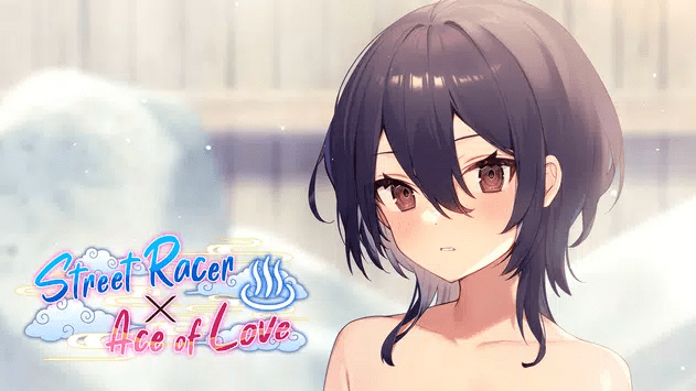 车手撞上爱游戏中文汉化版（Street Racer X Ace of Lo