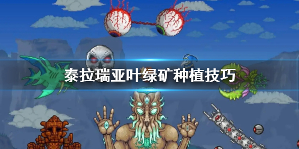 《泰拉瑞亚》叶绿矿种植怎么种好？叶绿矿种植技巧