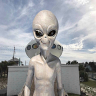 外星人狩猎AR修改版