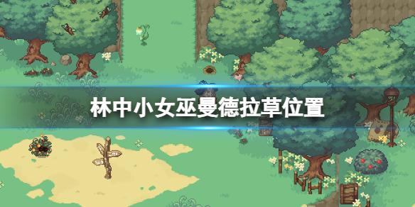 《林中小女巫》曼德拉草在哪？曼德拉草位置