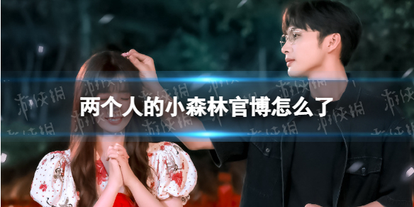 两个人的小森林官博怎么了