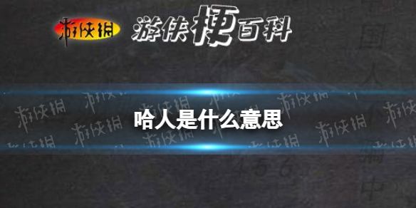 网络用语哈人意思介绍