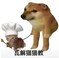 猫猫教和狗狗教是什么梗