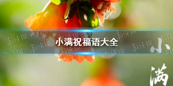 小满祝福语文案