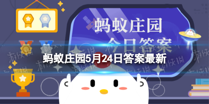 猜一猜油麦菜和以下哪种蔬菜是亲戚 蚂蚁庄园5月24日答案最新