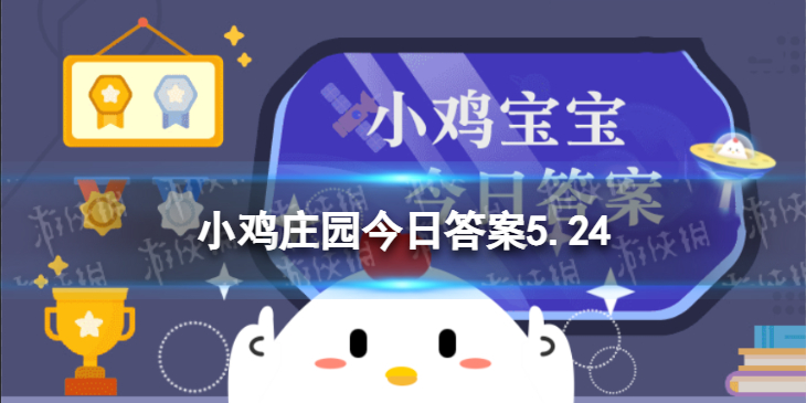 小鸡宝宝考考你猜一猜油麦菜和以下哪种蔬菜是亲戚