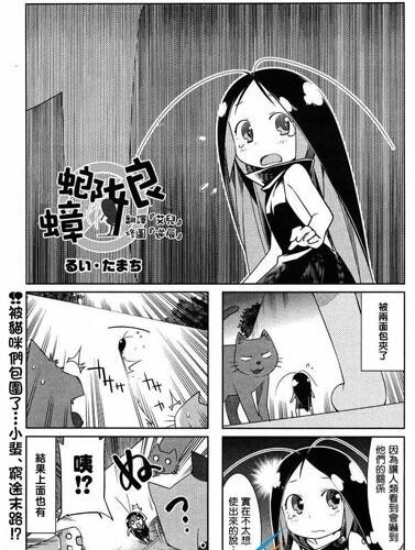 蟑螂毛是什么梗