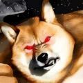 超级肌肉狗游戏正式手机版（buff doge）