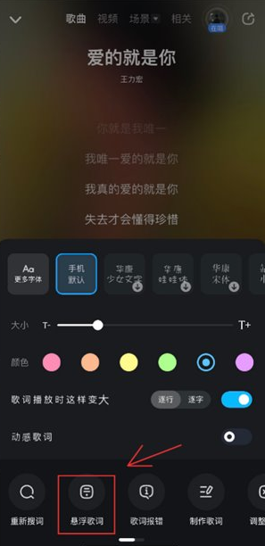 《酷狗音乐》ios版桌面歌词开启方法