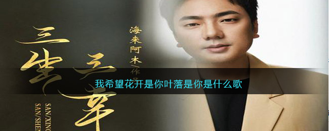 我希望花开是你叶落是你是什么歌