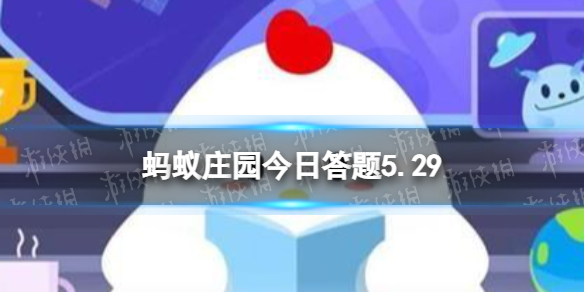 便秘的时候,吃香蕉真的有用吗 蚂蚁庄园今日答案5月29日