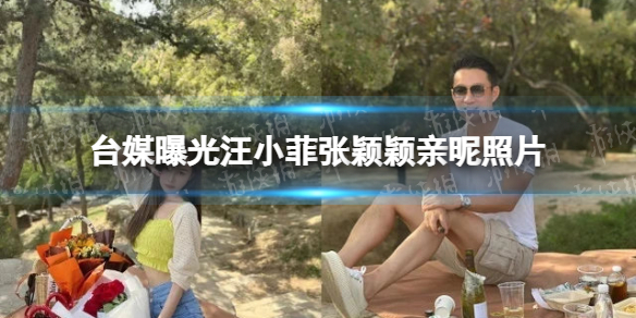张兰怎么了 台媒曝光汪小菲张颖颖亲昵照片