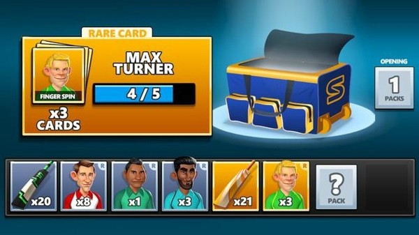 板球现场21(Stick Cricket Live)