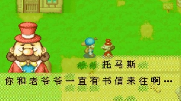 牧场物语矿石镇的伙伴们中文版