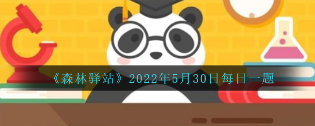 《森林驿站》2022年5月30日每日一题