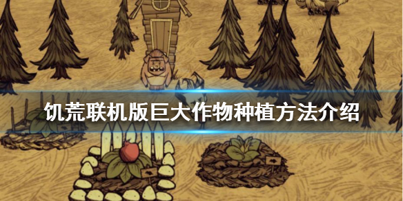 《饥荒联机版》巨大作物如何种植？巨大作物种植方法介绍