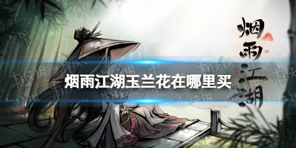 烟雨江湖玉兰花在哪里买 烟雨江湖玉兰花有什么用