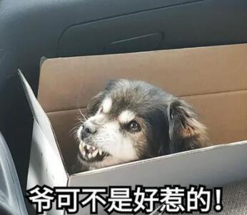 QQ截图20220610140736.jpg