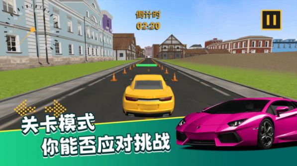 真实模拟司机驾驶游戏正式安卓版