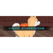 《小森生活》南瓜狗狗背包获取攻略